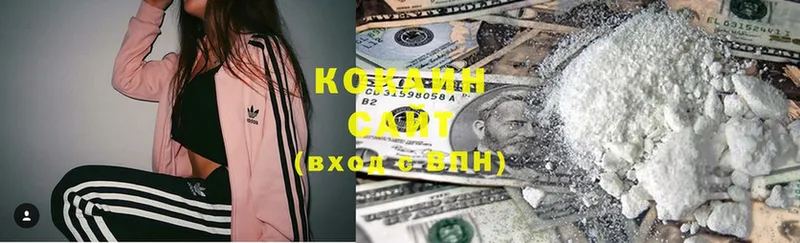 купить закладку  ОМГ ОМГ ССЫЛКА  Cocaine Fish Scale  Михайловск 